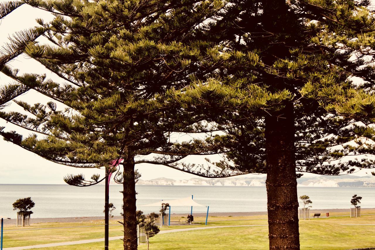 The Nautilus Hotel Napier Buitenkant foto View of the bay from the foreshore