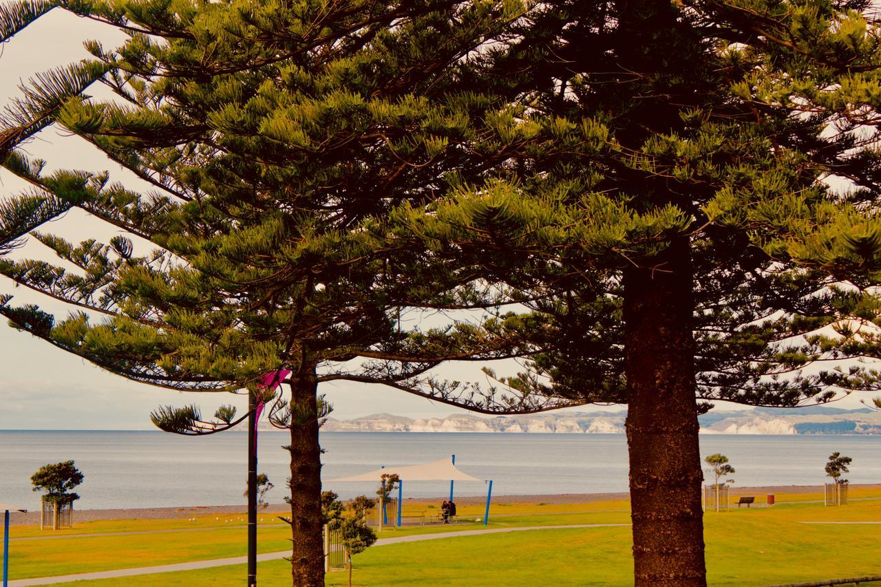 The Nautilus Hotel Napier Buitenkant foto View of the bay from the foreshore